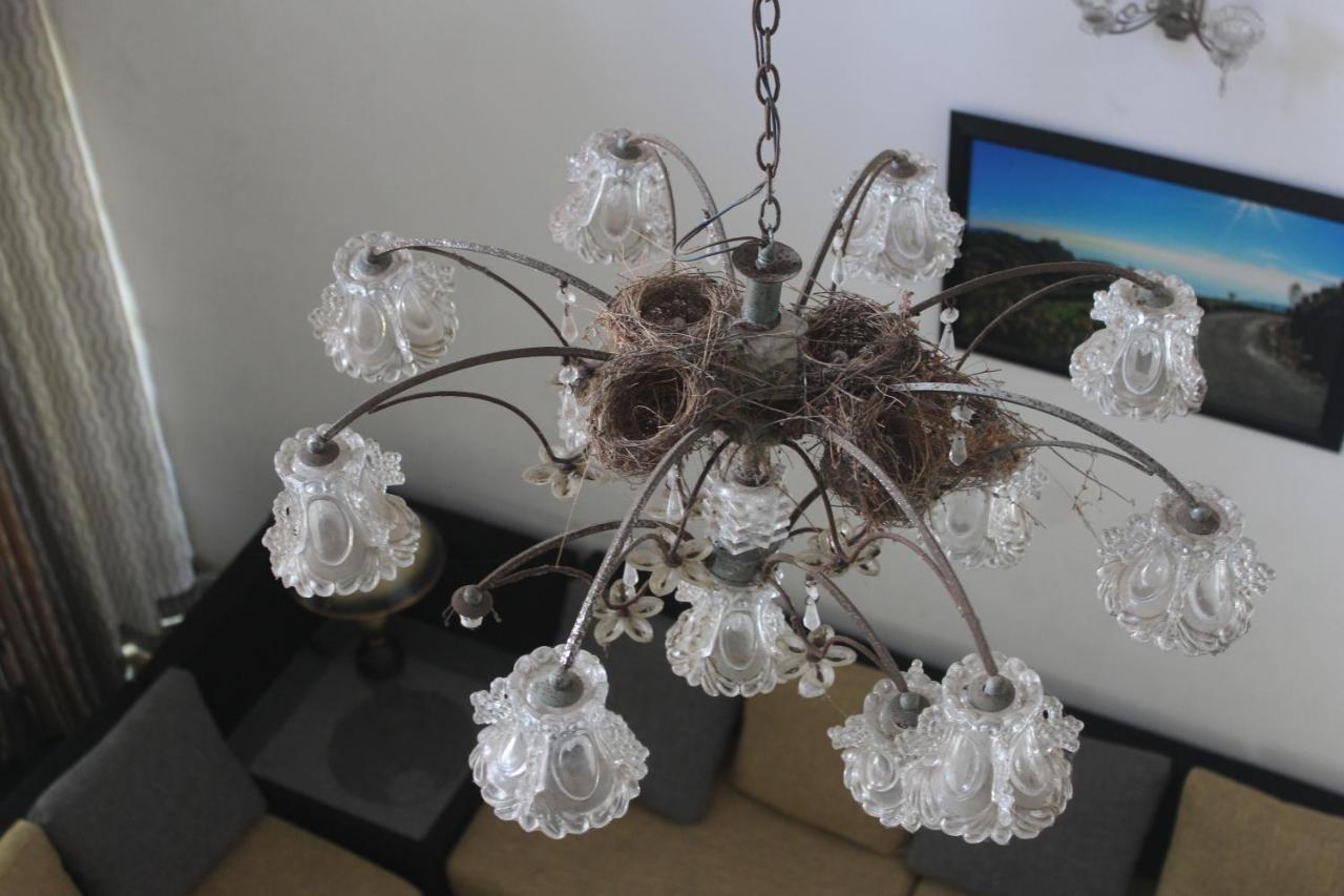 Bird'S Nest By Natures Bliss Ragama Zewnętrze zdjęcie